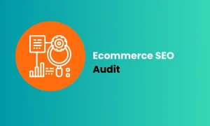 SEO Audit for E-commerce